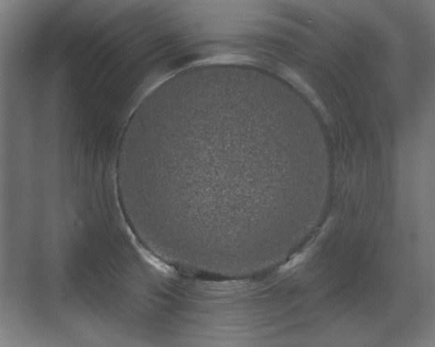 X0000071341425200606261304