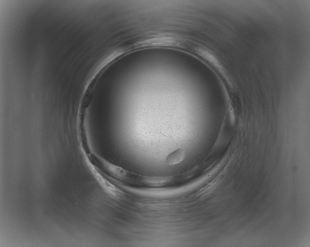 X0000071341426200606261304