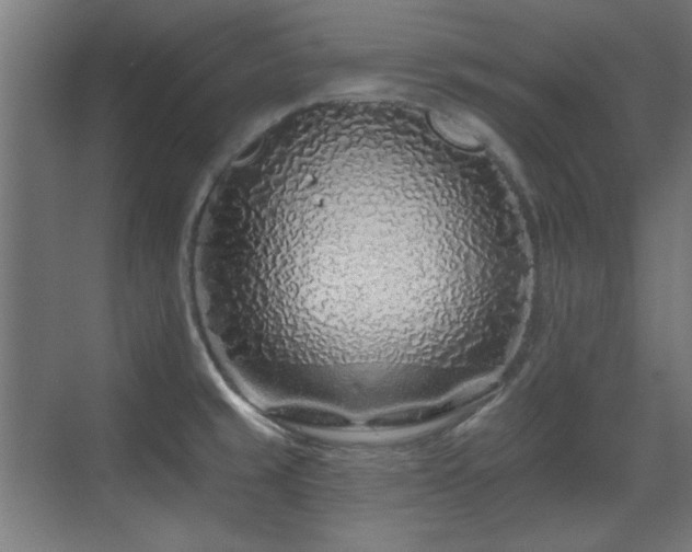 X0000071341429200606261304