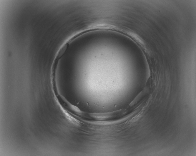 X0000071341430200606261304