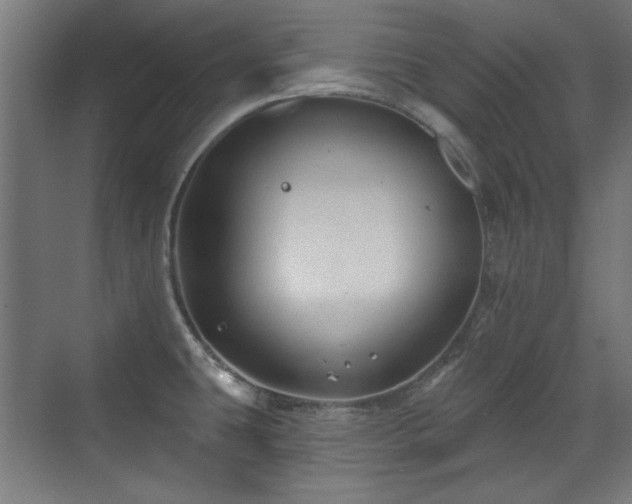 X0000071341431200606261304