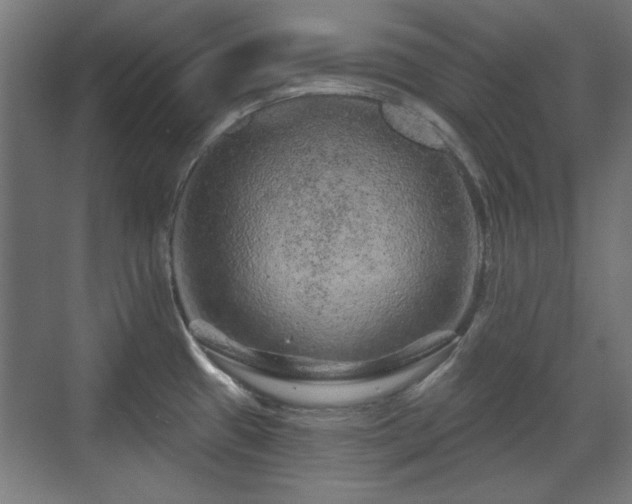 X0000071341433200606261304