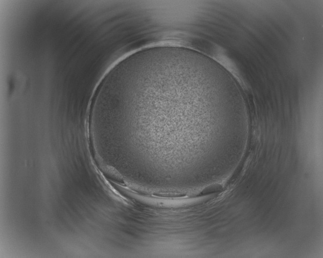 X0000071341436200606261304