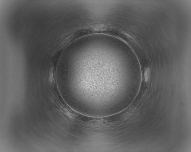 X0000071341444200606261303