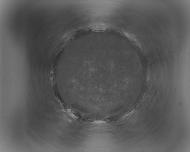 X0000071341445200606261303