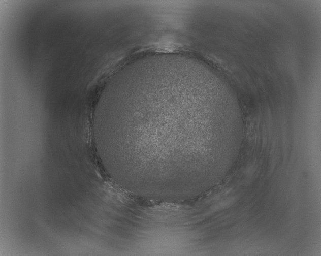 X0000071341446200606261303