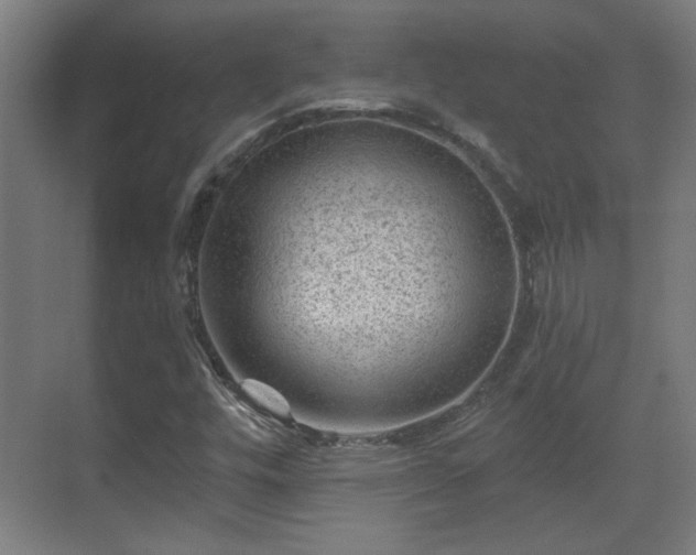 X0000071341448200606261303