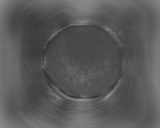 X0000071341449200606261303