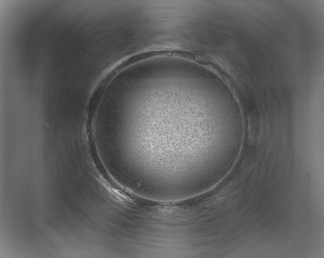 X0000071341452200606261303