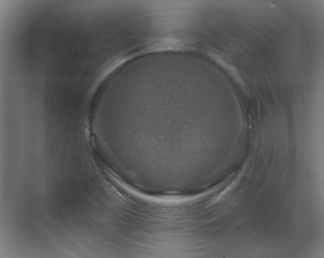 X0000071341453200606261303