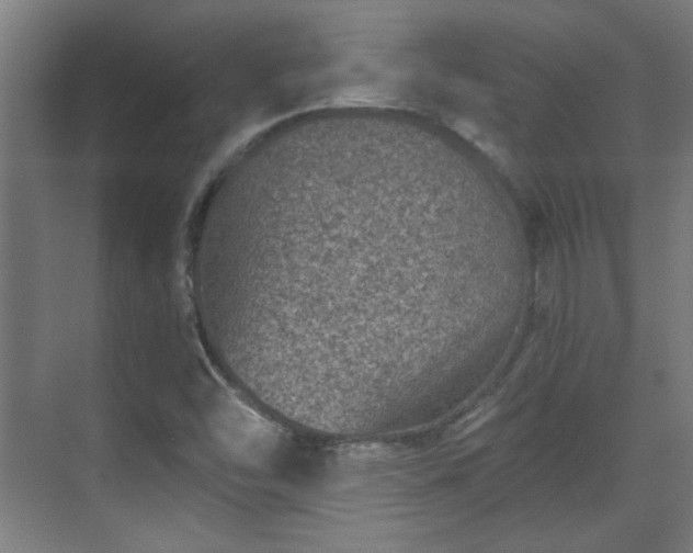 X0000071341454200606261303