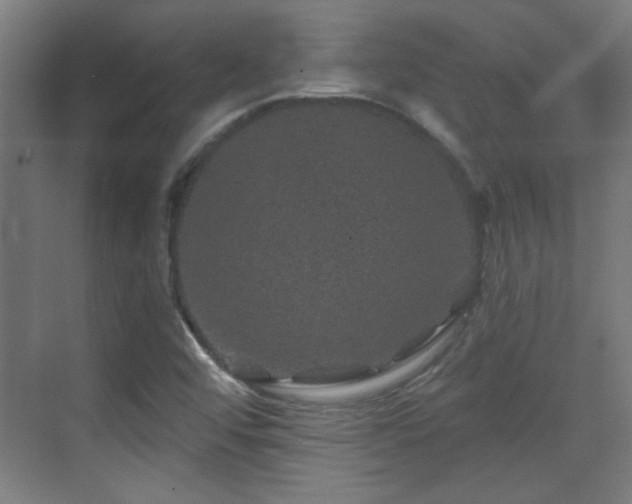 X0000071341456200606261303