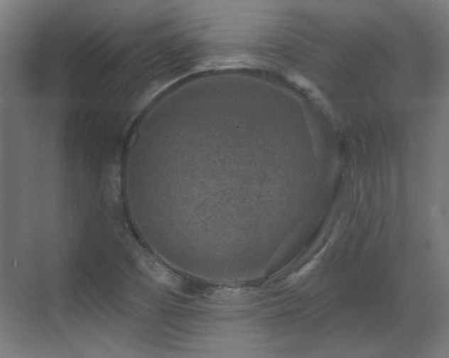 X0000071341457200606261303