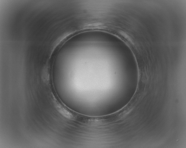 X0000071341458200606261303