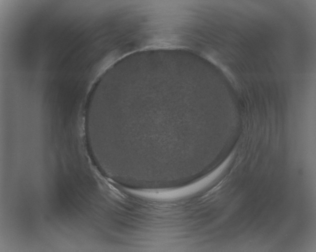 X0000071341459200606261303