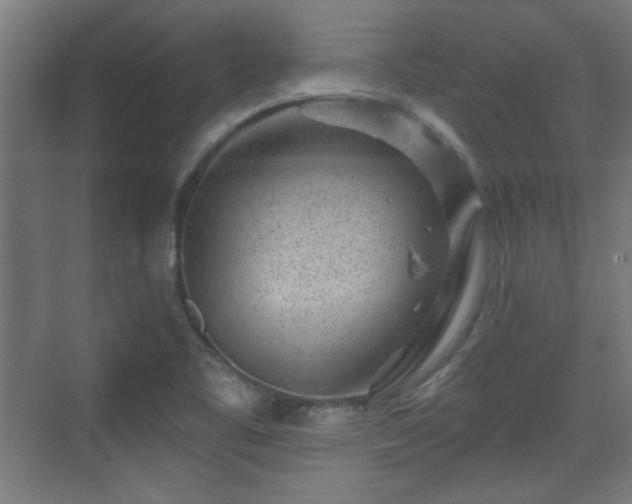 X0000071341461200606261303