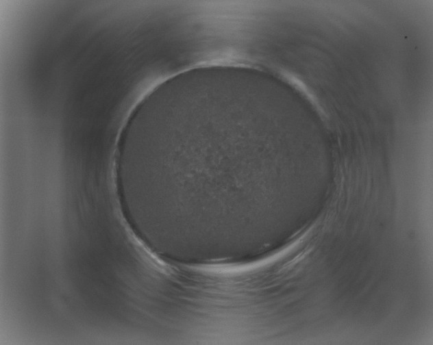 X0000071341463200606261303