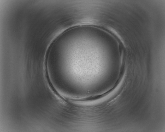 X0000071341469200606261303