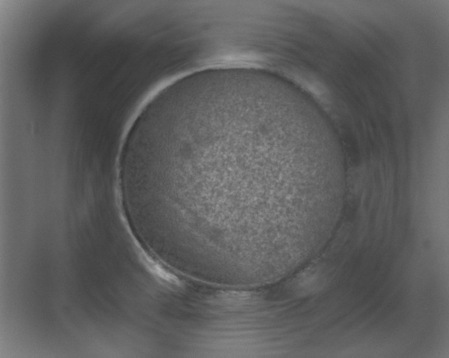 X0000071341470200606261303