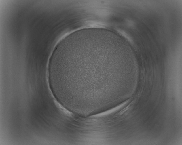 X0000071341471200606261303