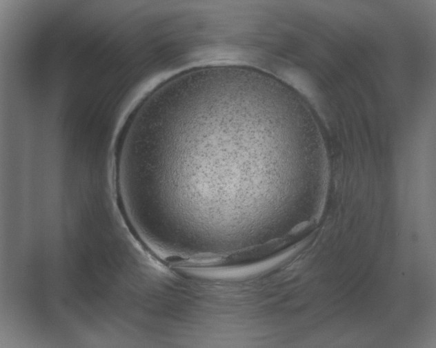 X0000071341472200606261303