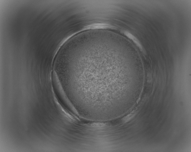 X0000071341473200606261303