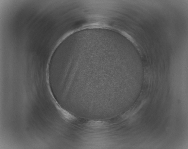 X0000071341474200606261303