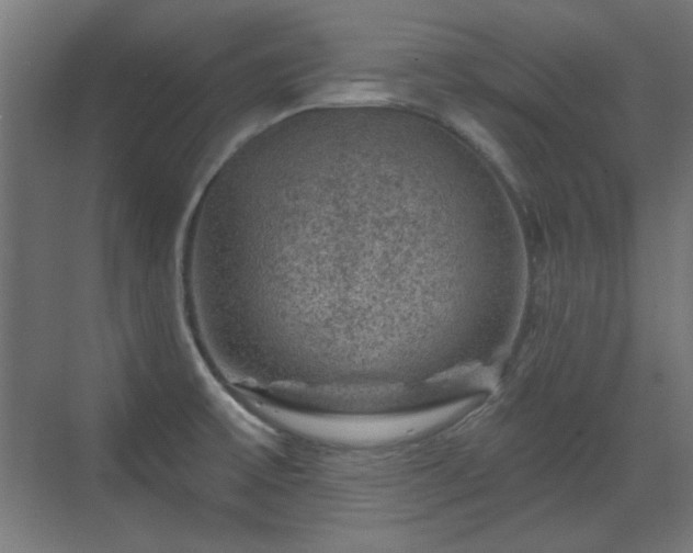 X0000071341475200606261303