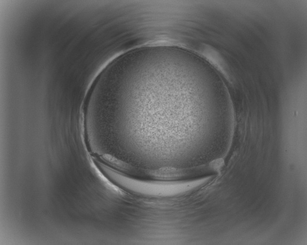 X0000071341476200606261303