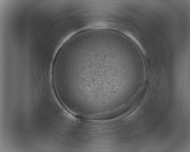 X0000071341477200606261303