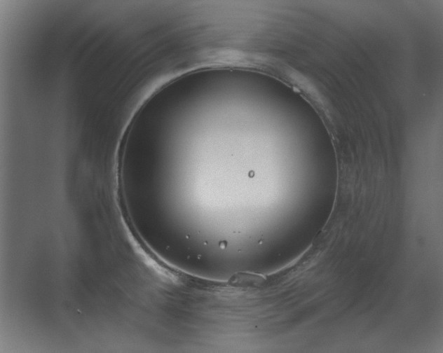 X0000071341479200606261303