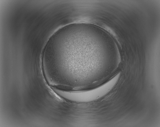 X0000071341480200606261303