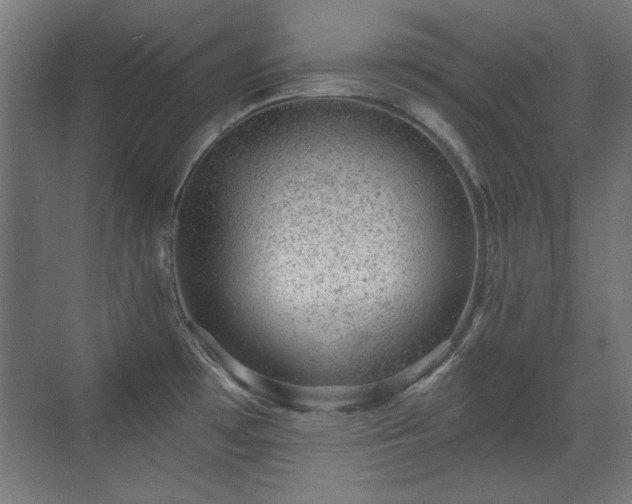 X0000071341481200606261303