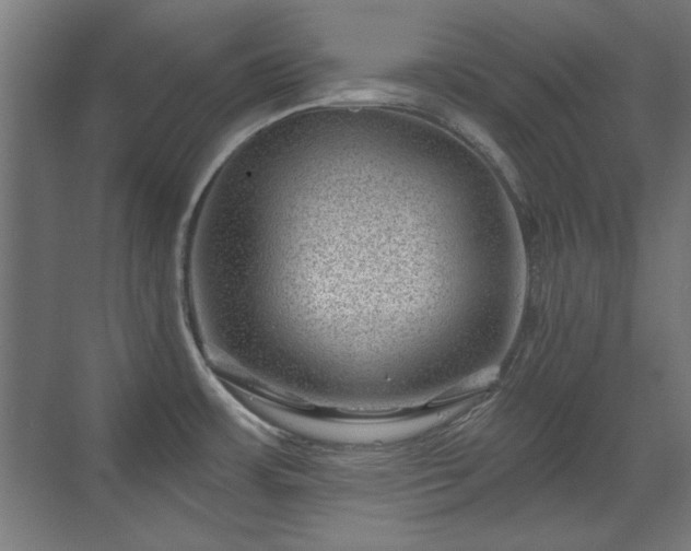 X0000071341483200606261303