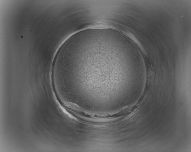 X0000071341484200606261303