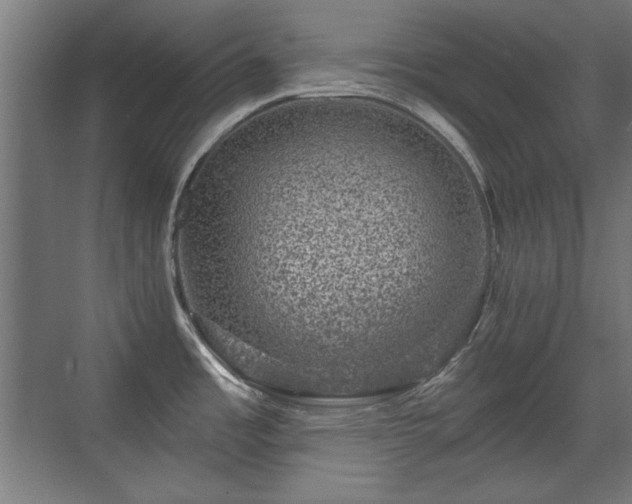 X0000071341485200606261302