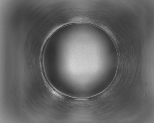 X0000071341486200606261302