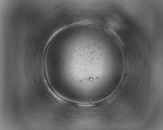 X0000071341487200606261302