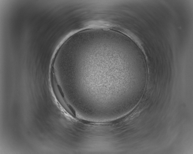 X0000071341488200606261302