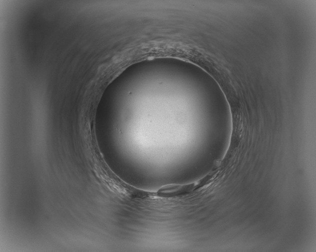 X0000071341489200606261302