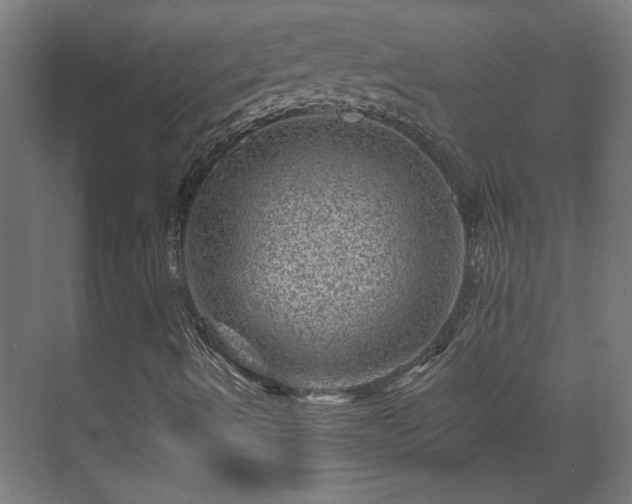 X0000071341490200606261302