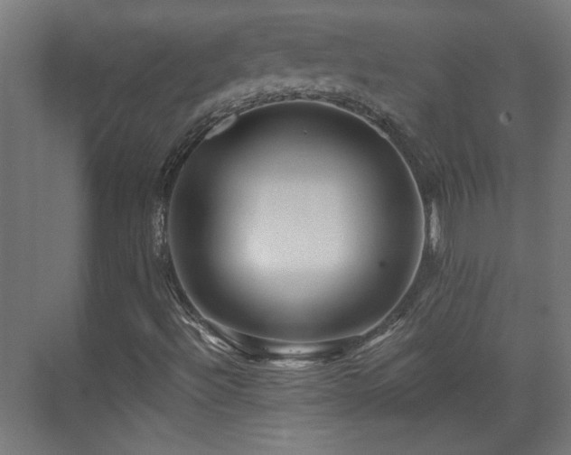 X0000071341492200606261302