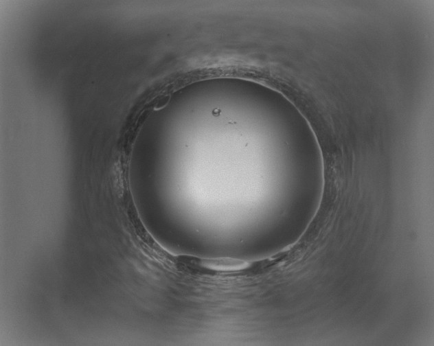 X0000071341493200606261302