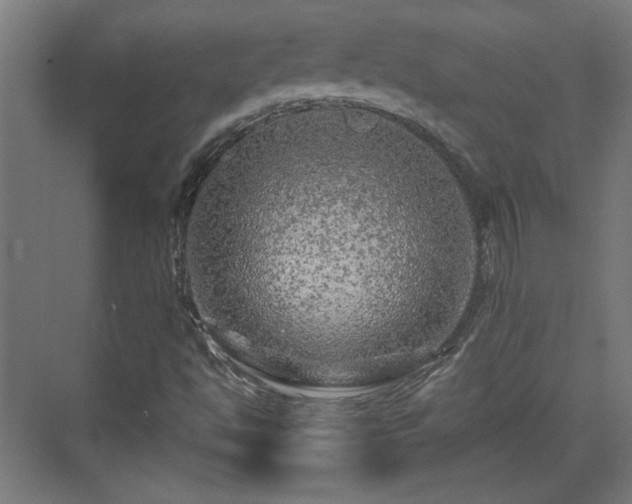 X0000071341494200606261302