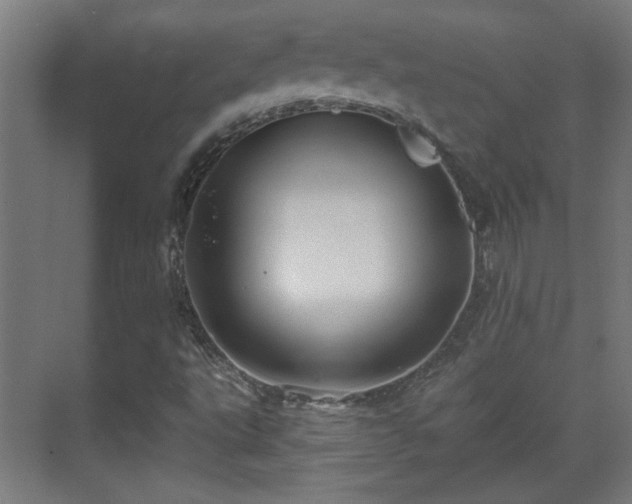 X0000071341495200606261302