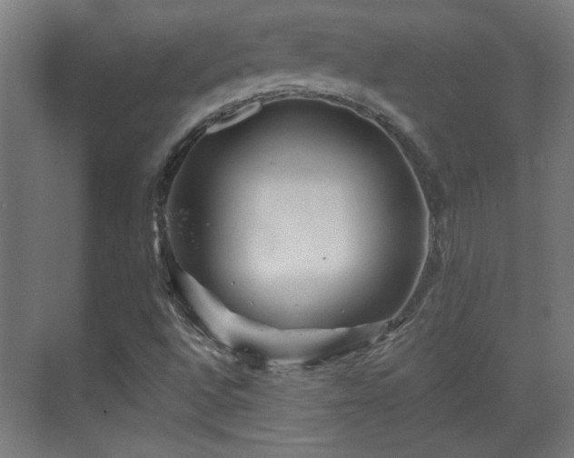 X0000071341496200606261302