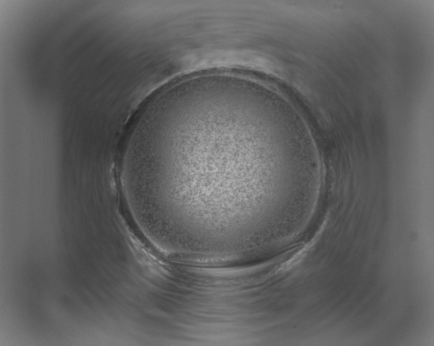 X0000071341497200606261302