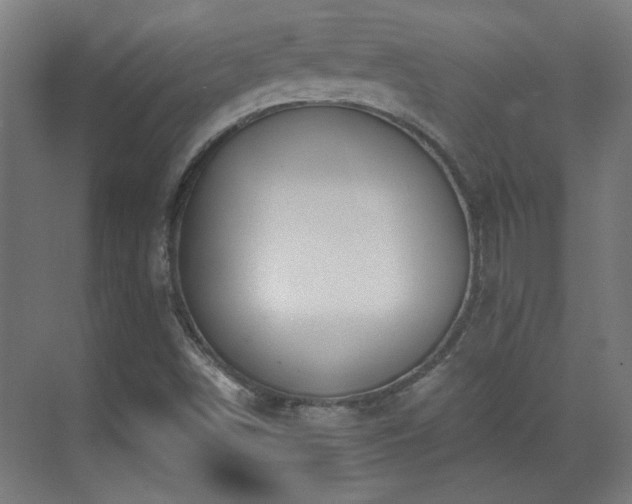 X0000071341498200606261302