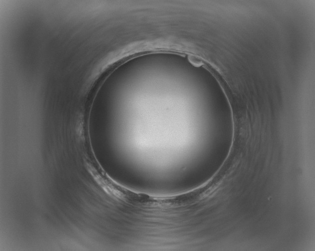 X0000071341499200606261302