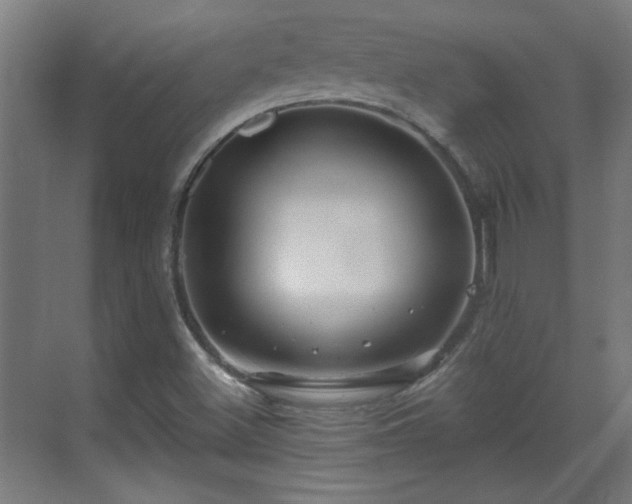 X0000071341500200606261302